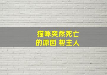 猫咪突然死亡的原因 帮主人